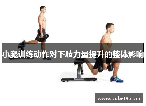 小腿训练动作对下肢力量提升的整体影响