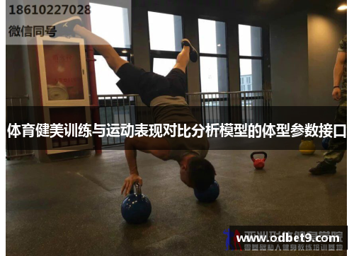 体育健美训练与运动表现对比分析模型的体型参数接口