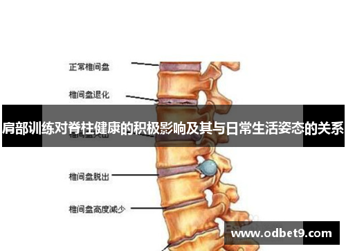 肩部训练对脊柱健康的积极影响及其与日常生活姿态的关系